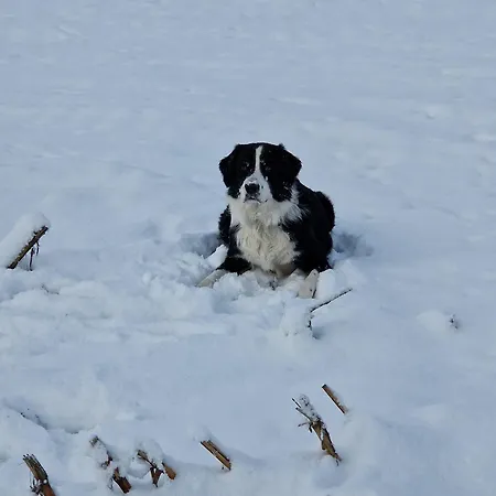 Nordseeliebe, Urlaub Fuer Familie Und Mit Hund * Lamstedt