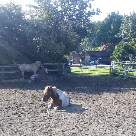 Nordseeliebe, Urlaub Fuer Familie Und Mit Hund *