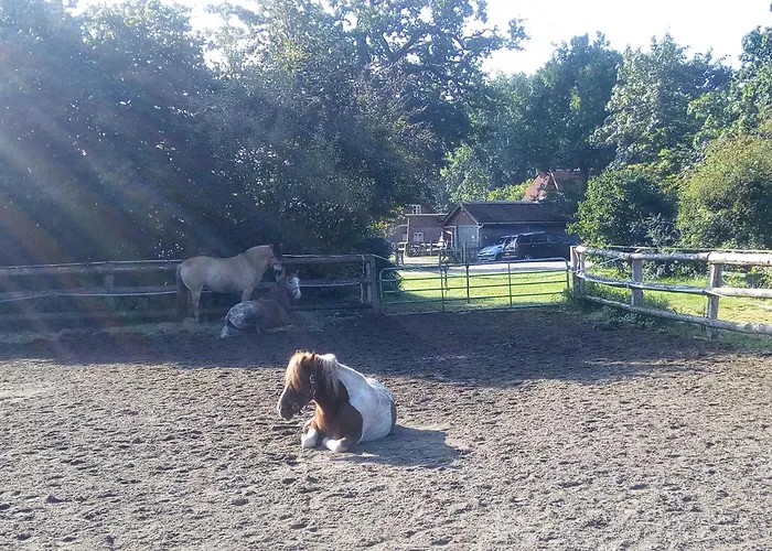 Nordseeliebe, Urlaub Fuer Familie Und Mit Hund *